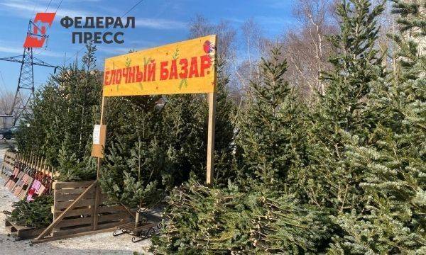 Цены на живые елки во Владивостоке бьют рекорды по стране: ползарплаты за новогоднее дерево