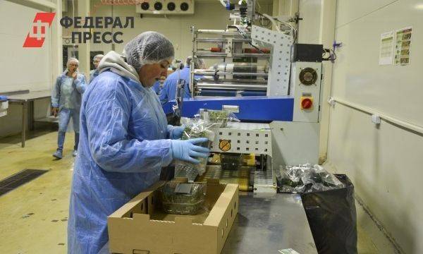 «Избежали волны банкротств»: эксперт объяснил, почему Россия демонстрирует успехи в импортозамещении