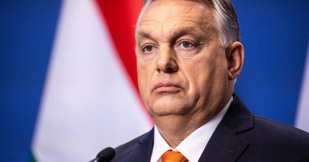 Орбан принял приглашение Зеленского о двусторонней встрече, — СМИ