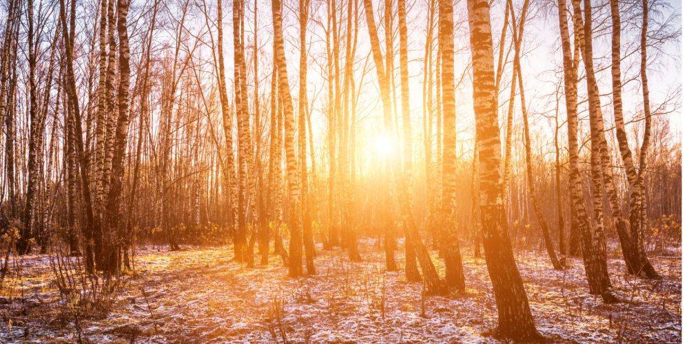 «Возможно будет много солнца». Синоптик раскрыла планы атмосферы на зимние праздники: температура будет колебаться от -5 до +9 градусов