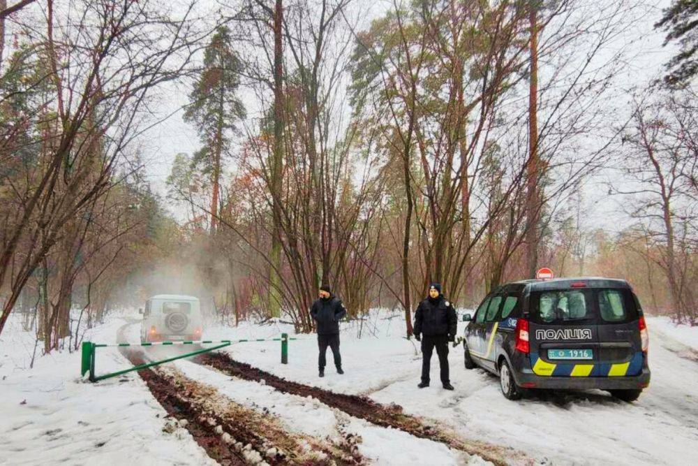 Перед Новим роком украинцев начали штрафовать за елки до 52 тысяч: чего нельзя делать