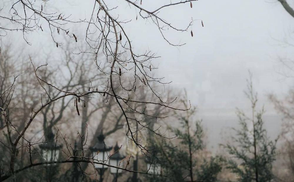 Прогноз погоды в Одессе 23 декабря 2023 | Новости Одессы