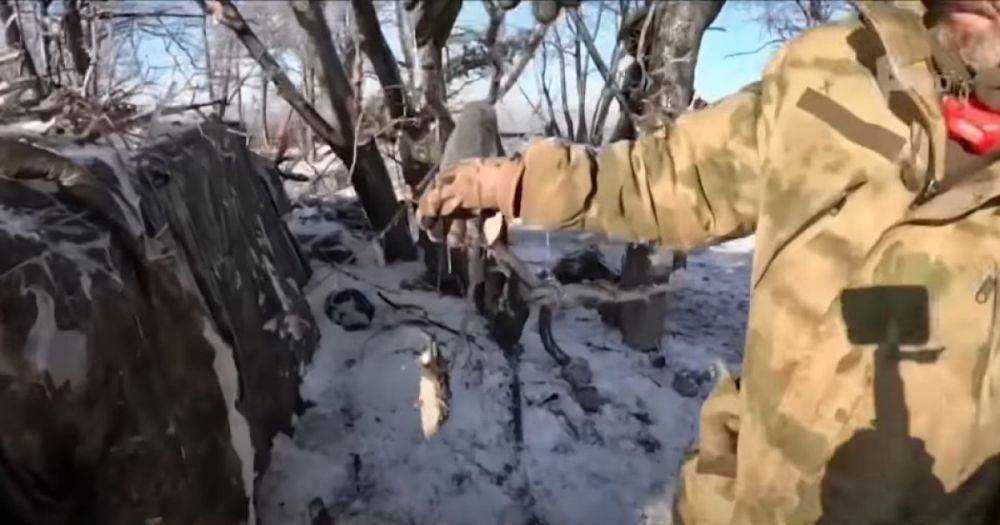 Грызуны атакуют окопы: солдаты РФ начали болеть из-за нашествия мышей и крыс на передовой