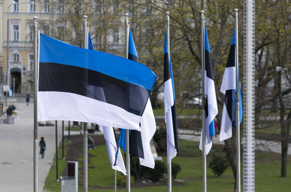 В Эстонии заявили о возможной выдаче украинцев для мобилизации в ВСУ