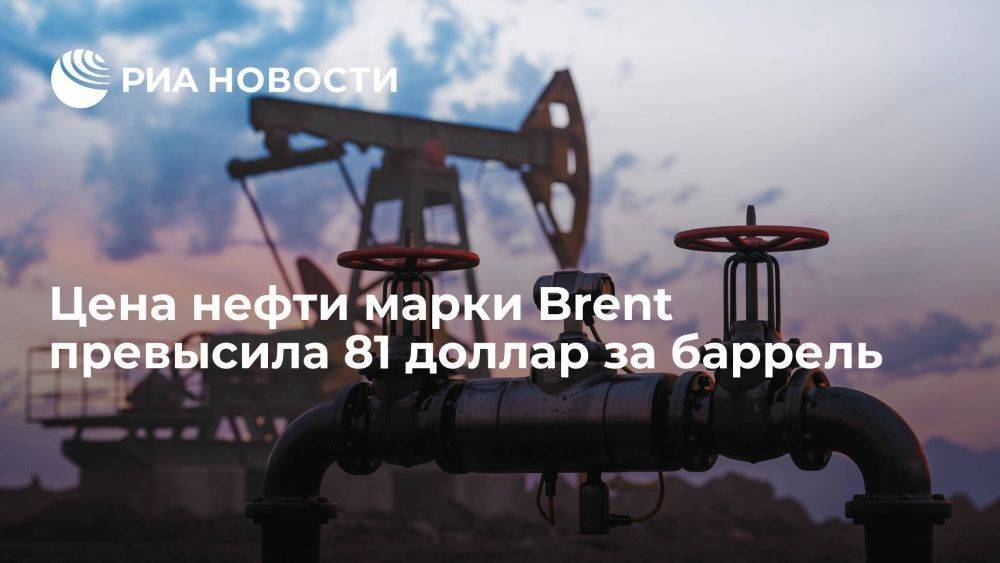 Цена нефти марки Brent впервые с 1 декабря превысила 81 доллар за баррель