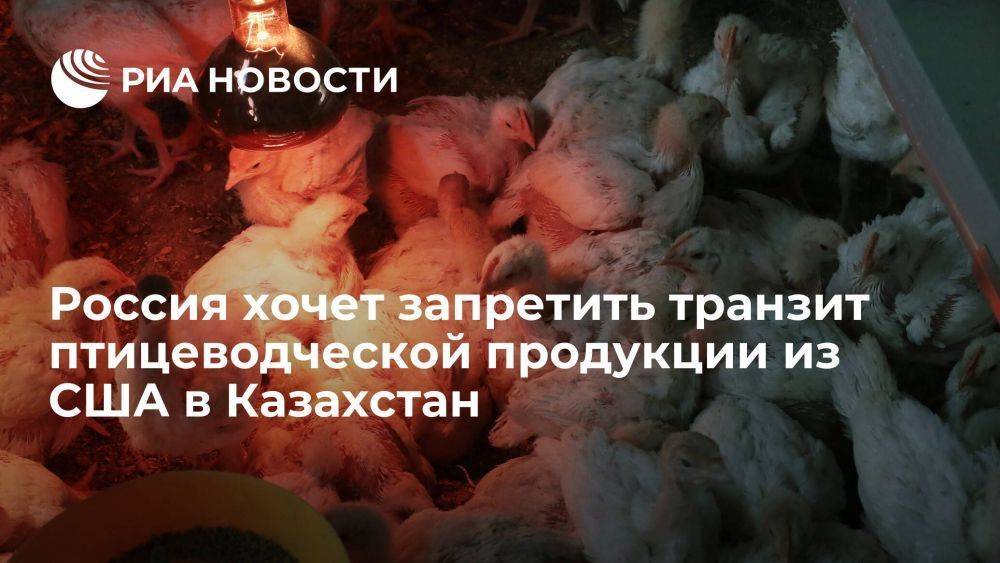 Россия хочет ограничить транзит всей птицеводческой продукции из США в Казахстан
