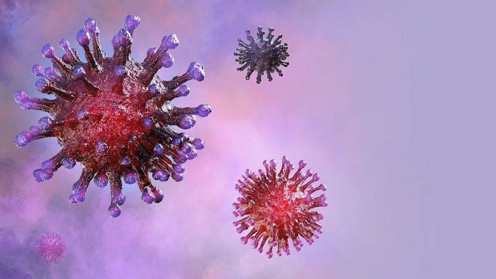 Почему возник коронавирус? Самые распространенные теории