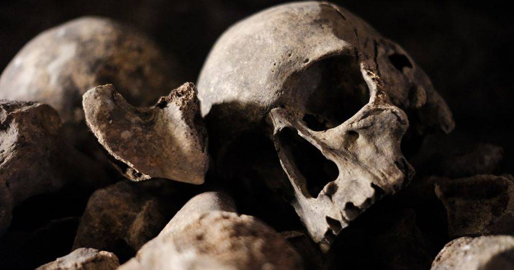 50 оттенков смерти: что произойдет с нашим телом, когда мы умрем