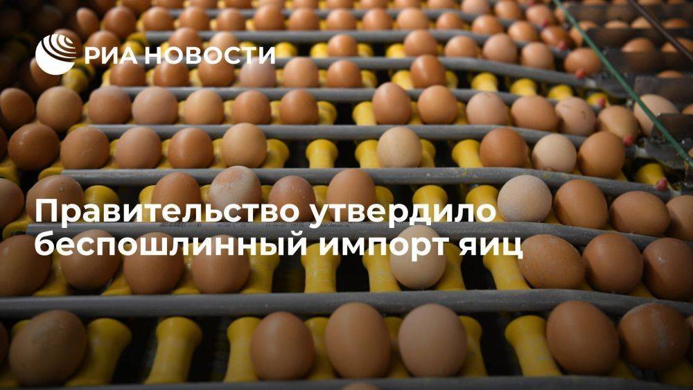 Правительство подписало постановление о беспошлинном импорте яиц до 30 июня