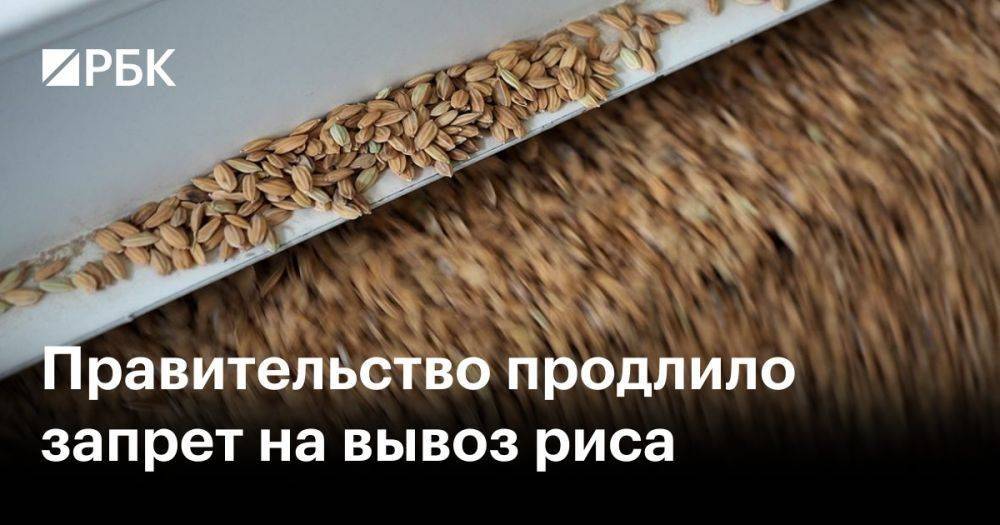 Правительство продлило запрет на вывоз риса