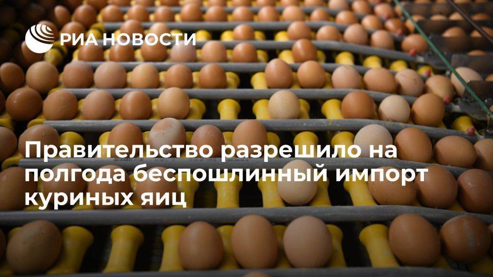 Правительство разрешило на полгода беспошлинный импорт до 1,2 млрд куриных яиц