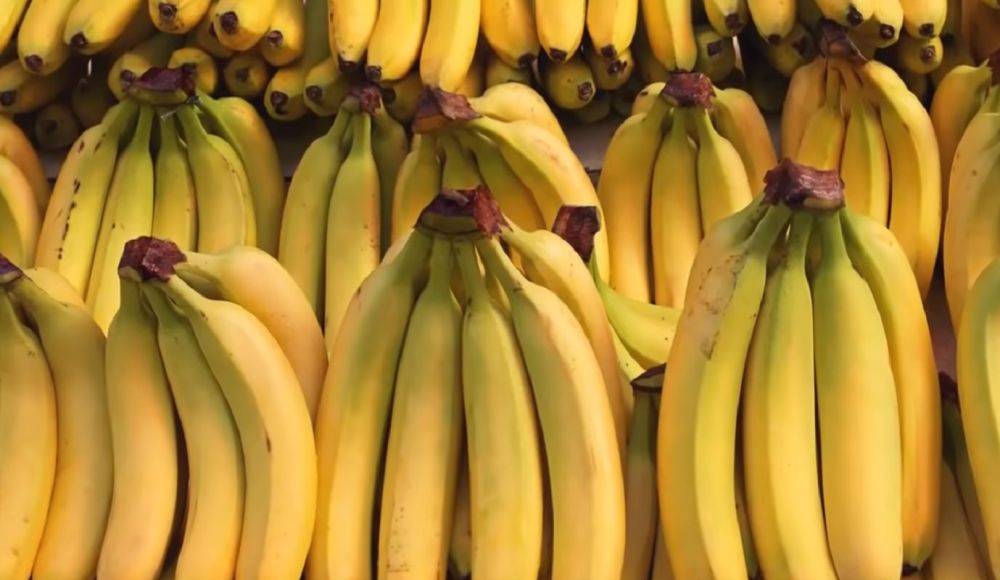 Не лучший вариант для приема пищи натощак: почему нельзя потреблять бананы на завтрак