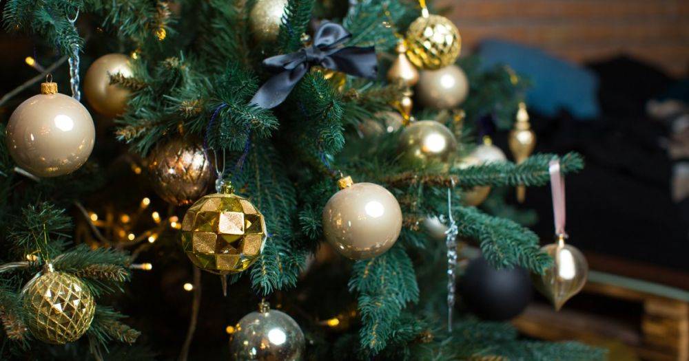 Синдром новогодней елки: почему живое дерево в доме может стать кошмарной идеей