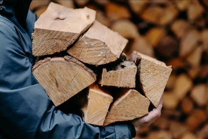 " Грабеж в Тарасовке": Оккупанты забирают дрова у местных жителей Херсонщины