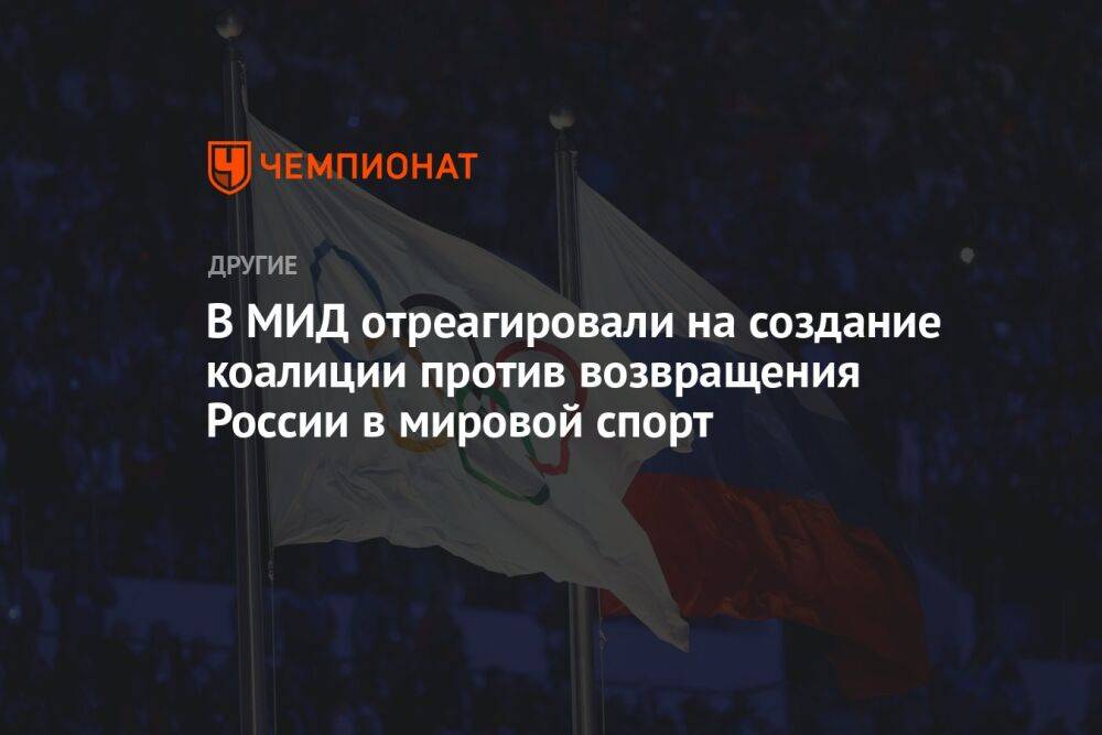 В МИД отреагировали на создание коалиции против возвращения России в мировой спорт