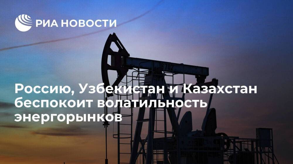 МИД: Россию, Узбекистан и Казахстан беспокоит волатильность рынков энергоносителей