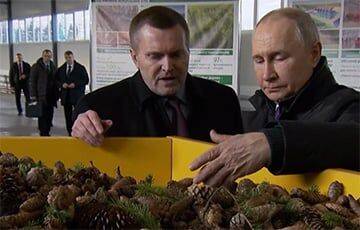 Путин выбрался из «бункера», чтобы потрогать шишки в Поморье