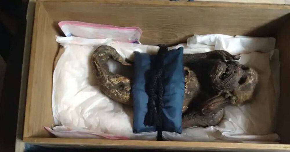 Ничего сверхъестественного. Ученые раскрыли секрет жуткой древней японской мумии "русалки" (фото)