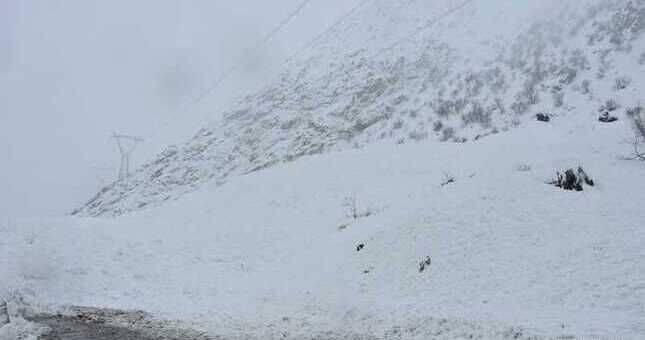 За сутки в Таджикистане сошло 7 снежных лавин