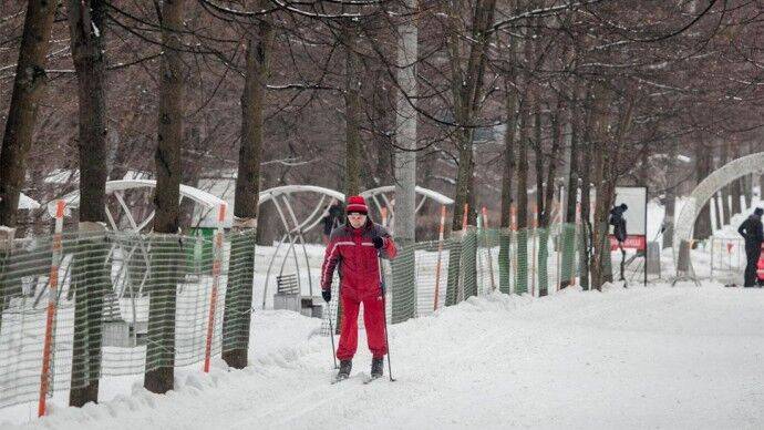 Парк "Сокольники" приглашает на занятия по лыжному спорту