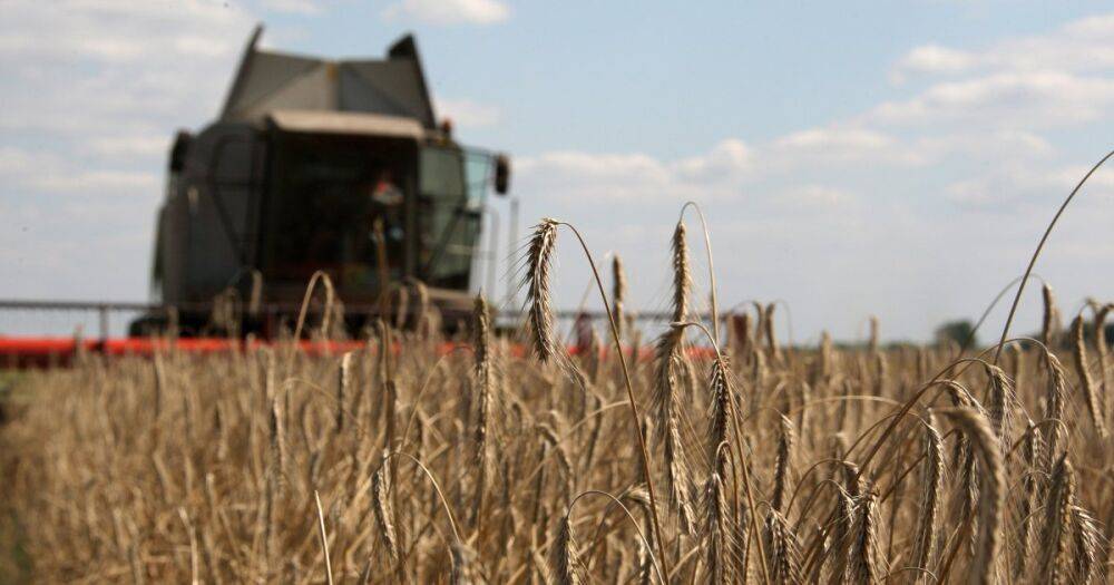 Россия выдумывает условия: СМИ узнали о старте переговоров по вывозу зерна из Украины