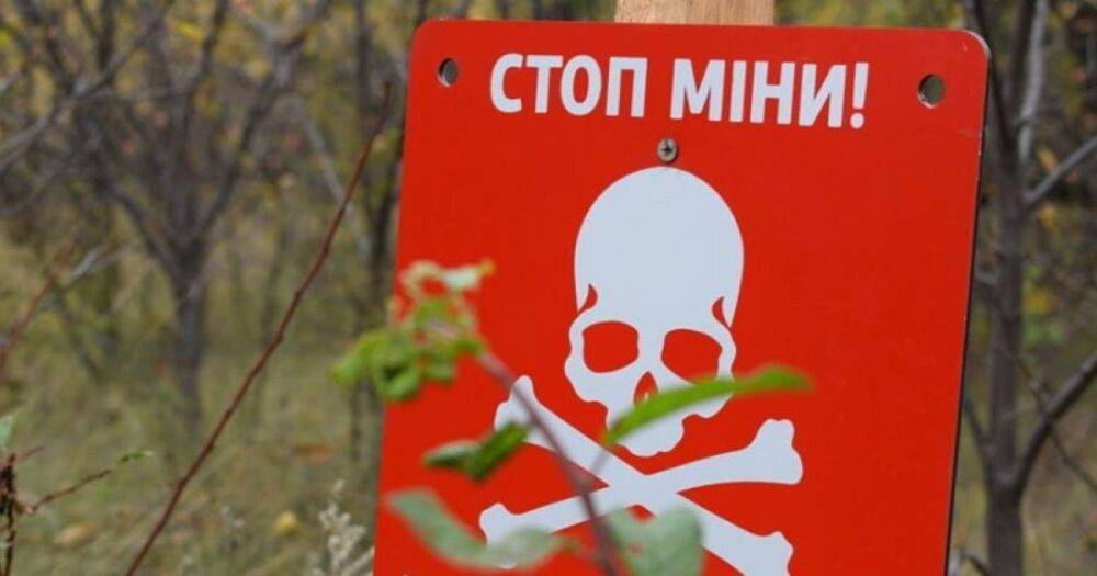 В Украине создали сайт по минной безопасности: важная информация для детей и их родителей