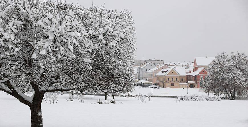 Снег и гололедица ожидаются в Беларуси 2 февраля