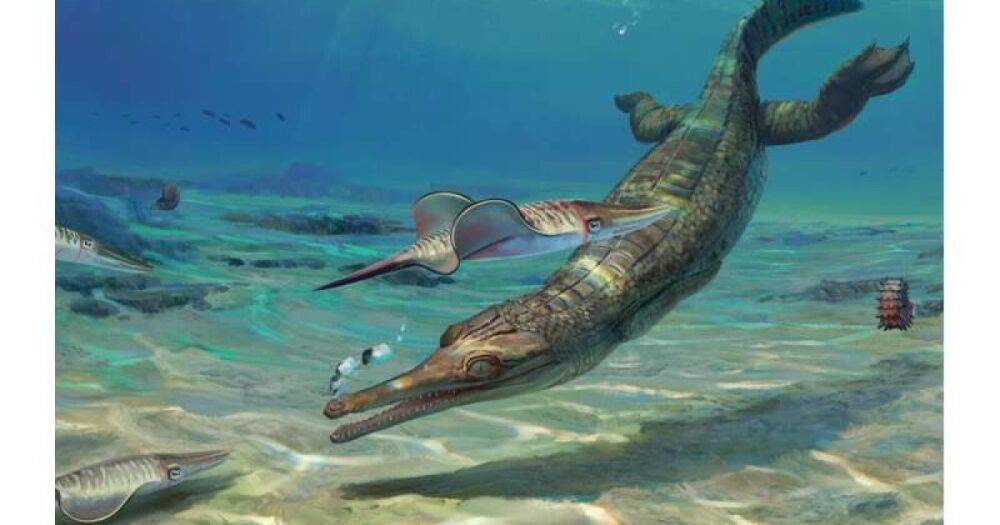 Древняя "сестра" предков современных крокодилов. Исследователи обнаружили еще одну талаттозухию