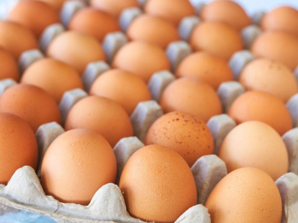 ГБР заявило о задержании пяти человек за поставки Министерству обороны яиц по 17 грн. и "виртуальных продуктов"