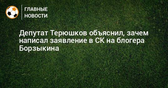 Депутат Терюшков объяснил, зачем написал заявление в СК на блогера Борзыкина
