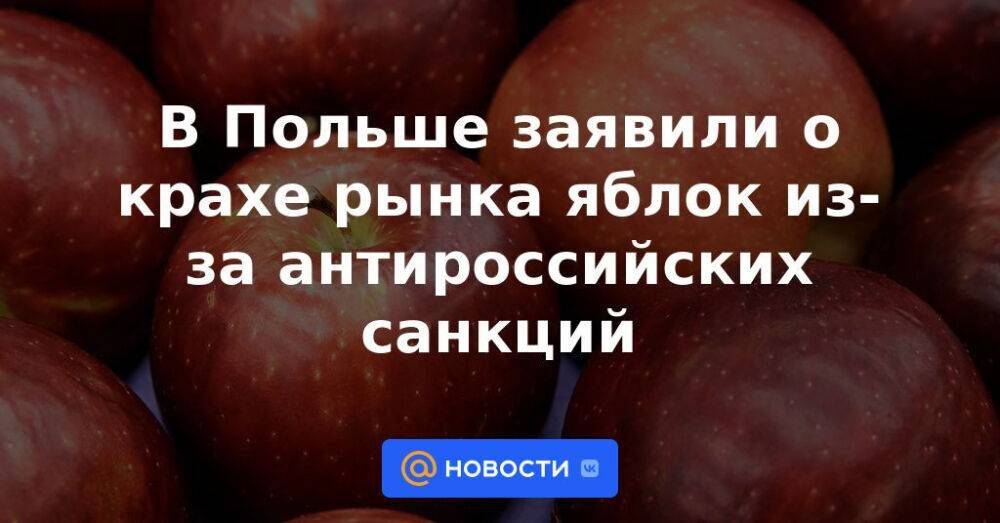 В Польше заявили о крахе рынка яблок из-за антироссийских санкций