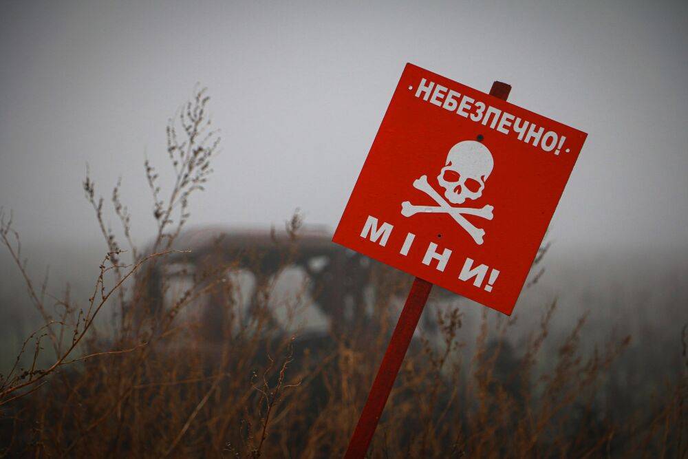 На Харьковщине утром мужчина подорвался на мине — Синегубов