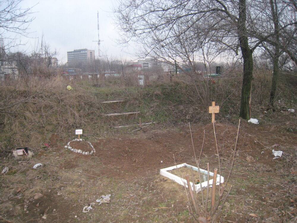 Гектары кладбища усеяли сельскохозяйственными культурами: подробности недоразумения на Полтавщине