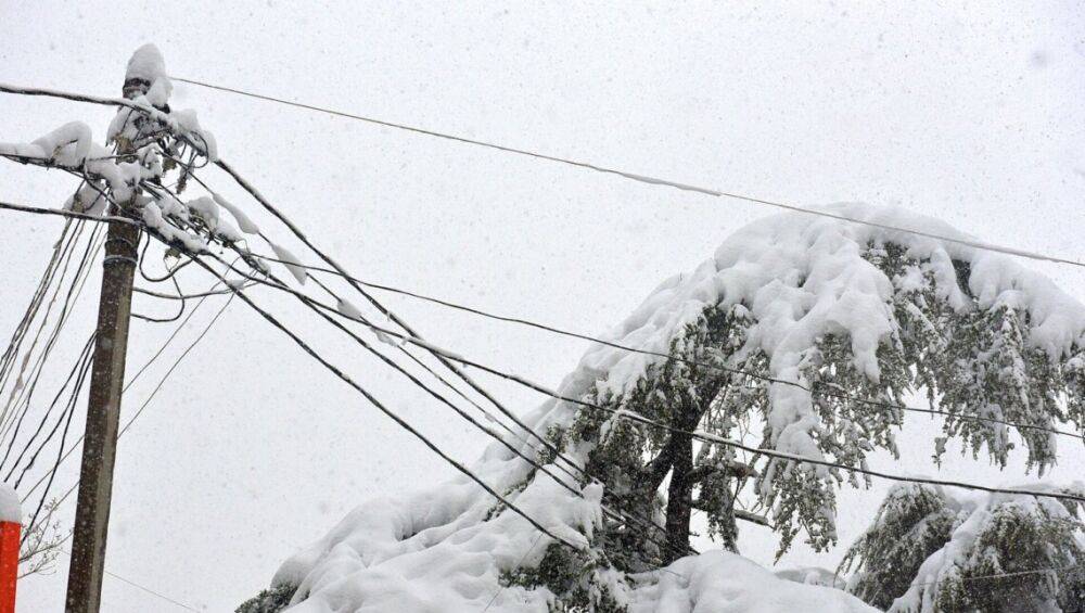 Морозы усилятся: в ДТЭК предупредили о возможных авариях на электросетях