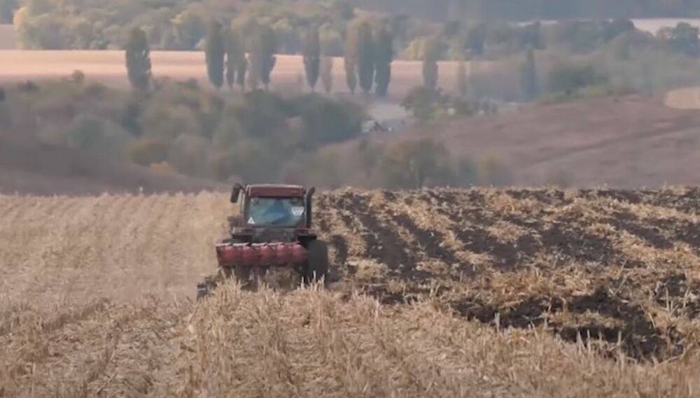 От 55 до почти 120 тысяч грн за гектар: украинцам показали, в каких областях в феврале самая дорогая земля