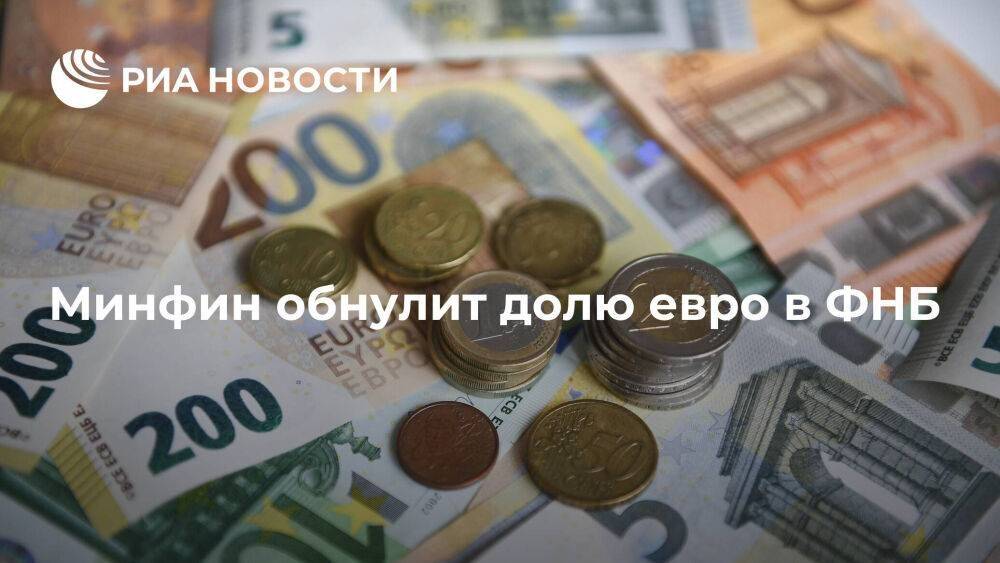 Минфин России в 2023 году обнулит долю евро в Фонде национального благосостояния