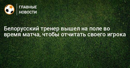 Белорусский тренер вышел на поле во время матча, чтобы отчитать своего игрока