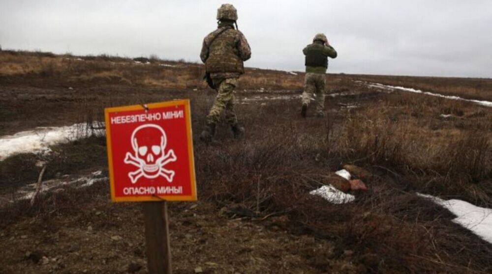 В полиции рассказали, какая площадь Украины остается заминированной