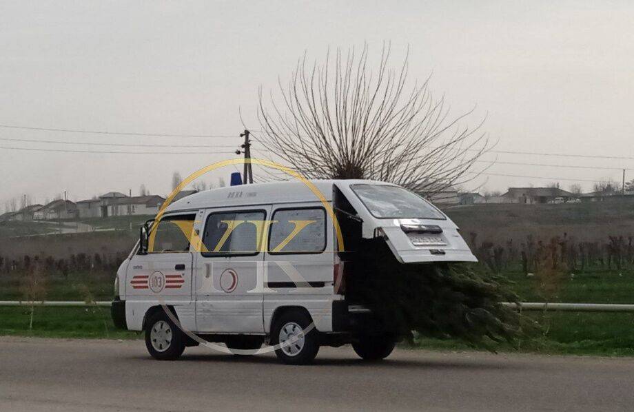В соцсетях распространилось фото скорой, которая занимается перевозкой деревьев