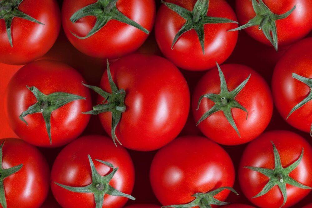 Узбекистанцы сообщают о резком росте цен на помидоры