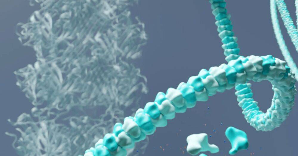 Необычный вирус "Рапунцель": ученые считают его эволюционным чудом