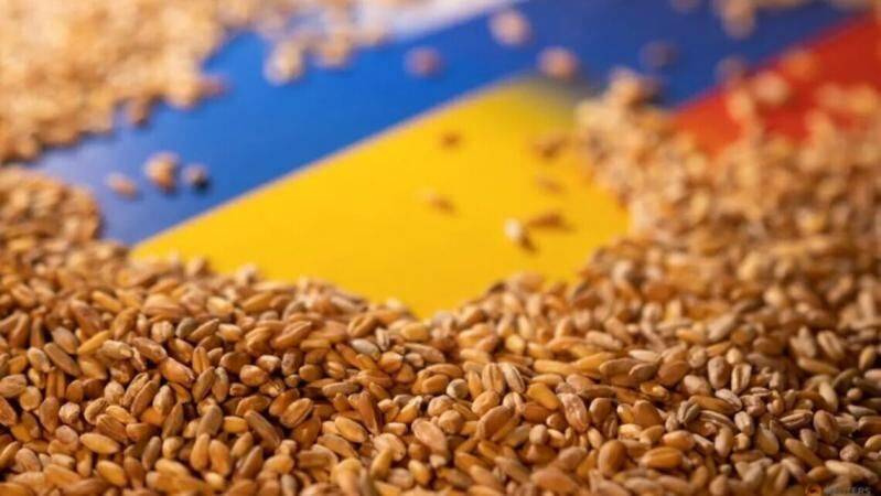 Россия продолжает вывозить из Украины награбленное зерно