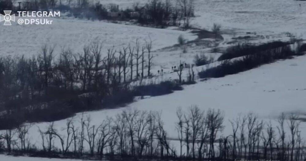 Артиллеристы ВСУ с пограничниками разнесли вражескую пехоту в Луганской области (видео)