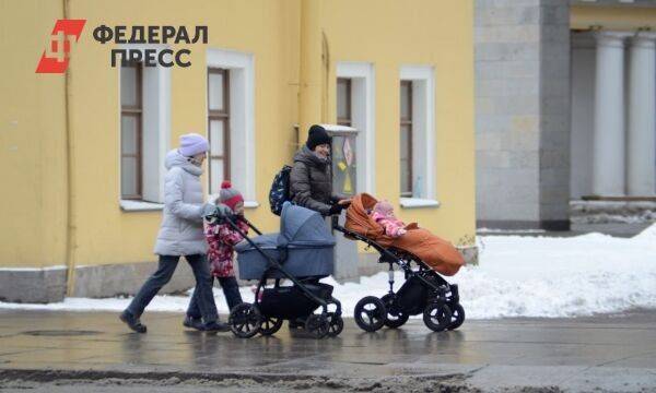 Многодетным семьям Карелии разрешили потратить 105 тысяч рублей маткапитала на ремонт жилья