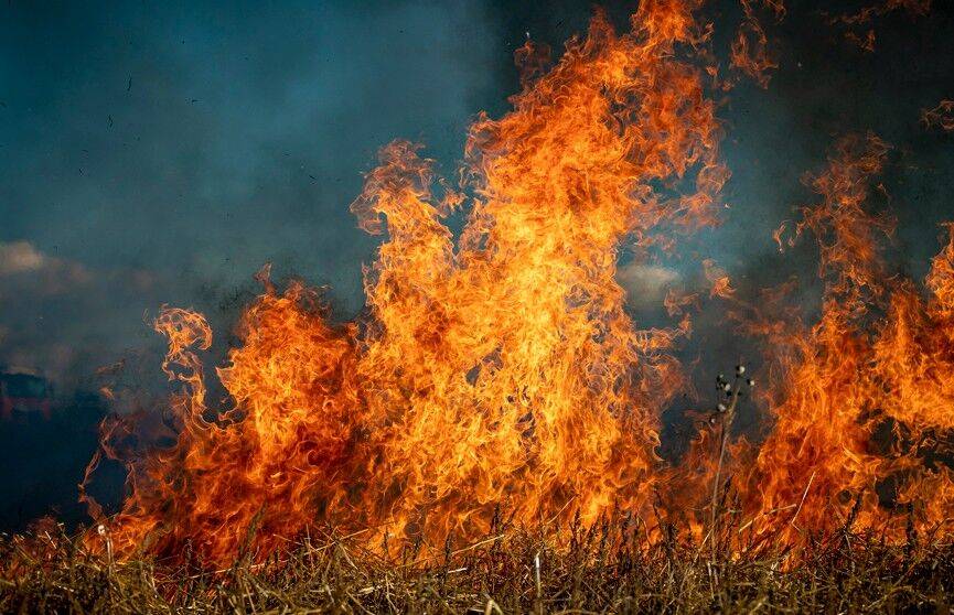 Из-за пала травы в Беларуси произошло более 220 пожаров