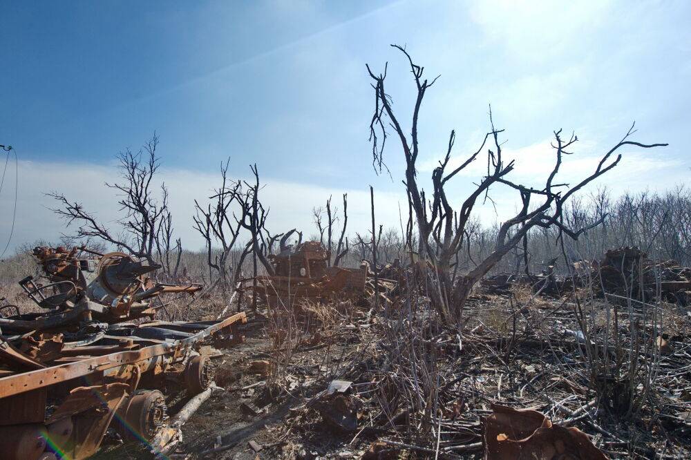 Оккупанты вероятно сожгли 20 тыс га лесов Харьковщины. Ущерб — 100 млрд грн