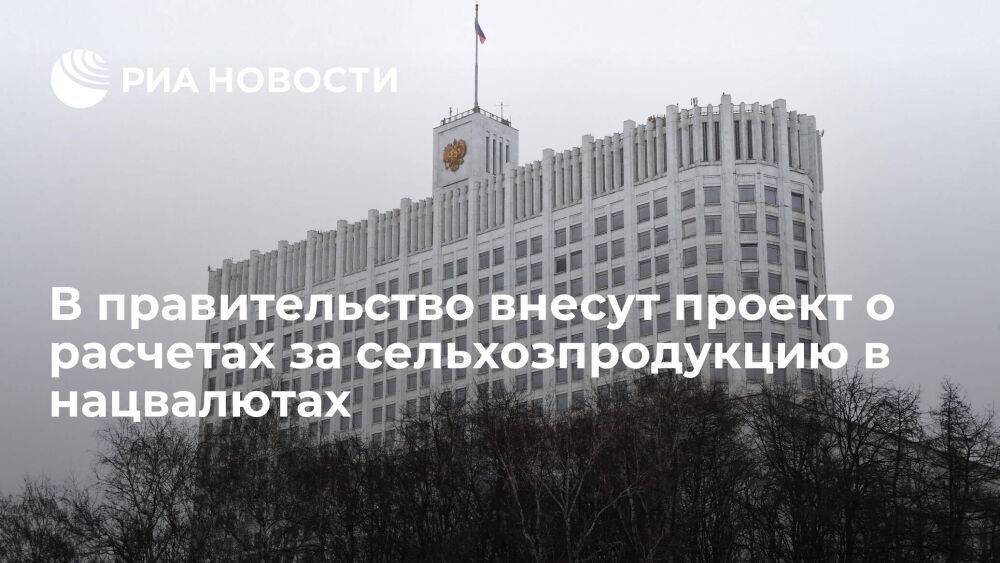Абрамченко: в правительство внесут проект о расчетах за сельхозпродукцию в нацвалютах