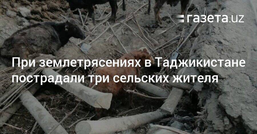 При землетрясениях в Таджикистане пострадали три жителя сел в эпицентре