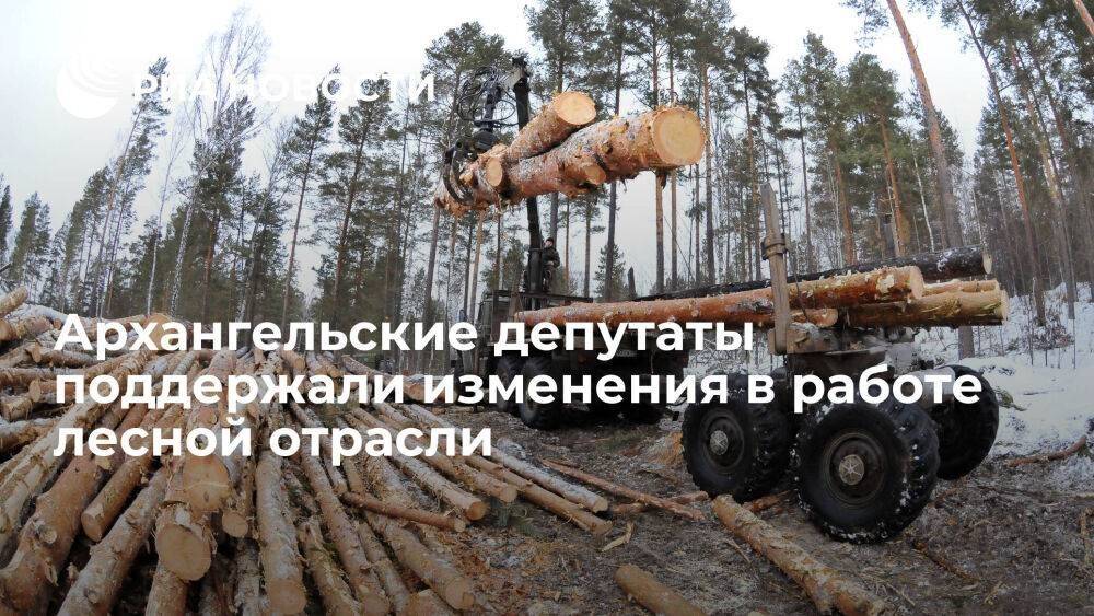 Архангельские депутаты поддержали изменения в работе лесной отрасли