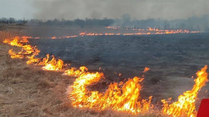 На Киевщине за сутки произошло полсотни возгораний, ГСЧС просит не жечь сухостой